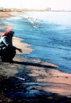 A member of the Saudi Environment Agency inspects the pollution along the gulf coast A member of the Saudi Environment Agency inspects the pollution along the gulf coast