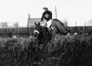 Prints of Grand National 1973 Red Rum ridden by Brian Fletcher jumps a fence and goes on to win Mirror Prints: Grand National 1973 Print: Red Rum Jumps Fence