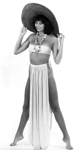 00031 Prints: Fashion Print - 1970s Sarong