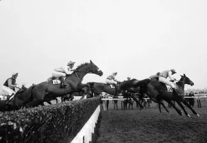 0000to0099 Prints: 1984 Cheltenham Gold Cup Action Print