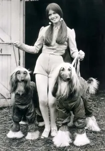 June Pickering and Her Afghan Hound Friends in Print (00146)