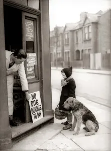 Prints of Little Girl wearing wooly hat, coat and scarf, standing outside corner shop grocers with her dog Mirror Prints: Little Girl and Dog Outside Corner Shop, March 1942 Print