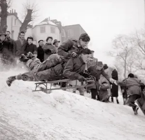 Boys on Sledge at Hampstead Heath, 1955 Print
