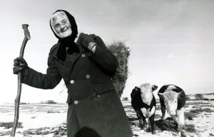 Prints of Hannah Hauxwell pictured on her farmland in Baldersdale County Durham with her cattle after a heavy snowfalls on the hills February 1979 © Mirrorpix Mirror Prints: Hannah Hauxwell Print: Snowy Farmland Scene 1979