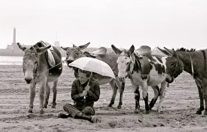 A Miserable day at Margate beach for the donkey rides owner who takes cover under an A Miserable day at Margate beach for the donkey rides owner who takes cover under an