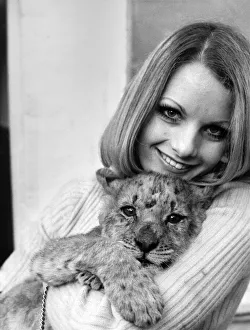 Former model Sally Bunting holding her lion cub pet at her home in Chiswick Former model Sally Bunting holding her lion cub pet at her home in Chiswick