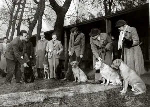 Mr Fred Lee of Sheffield has set up a Dog School where owners Mr Fred Lee of Sheffield has set up a Dog School where owners