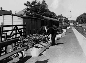 Mr. J. D. Cram Station Master at Riding Mill Railway Station is busy with the prize Mr. J. D. Cram Station Master at Riding Mill Railway Station is busy with the prize
