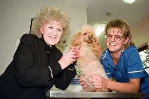 Mrs Beryl Cartmale with one legged poodle Amber and PDSA veterinary nurse Mandy Woodall Mrs Beryl Cartmale with one legged poodle Amber and PDSA veterinary nurse Mandy Woodall