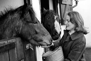 Images Dated 21st January 1975: Mrs. Jill Gibbs looking at two ponies. January 1975 75-00376-001