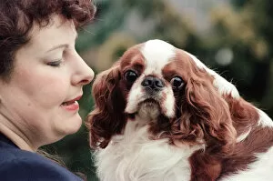Images Dated 7th March 1994: Mrs Julia Huggins with King Charles Spaniel, Theron, who is the living breed record