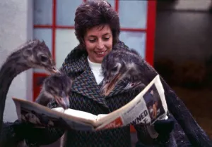 Mrs Louise Stephenson with her pet ostriches reading the newspaper at her home in Mrs Louise Stephenson with her pet ostriches reading the newspaper at her home in