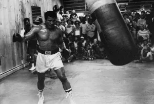 Muhammad Ali Boxer August 1978 (aka Cassius Clay) training for the fight with Leon Muhammad Ali Boxer August 1978 (aka Cassius Clay) training for the fight with Leon
