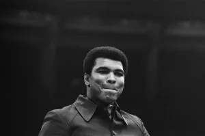 Muhammad Ali seen here at the Royal Albert Hall for the Joe Bugner vs Albert Lovell fight Muhammad Ali seen here at the Royal Albert Hall for the Joe Bugner vs Albert Lovell fight