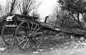 Mystery surrounds the origin of this fireman's turntable ladder Mystery surrounds the origin of this fireman's turntable ladder