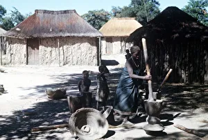 native woman pounding manioc in luando at the game reserve in central Angola native woman pounding manioc in luando at the game reserve in central Angola
