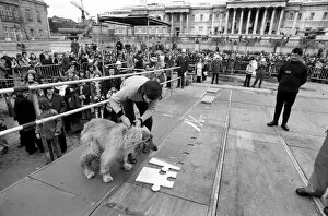 Images Dated 31st March 1975: The NCH giant jig saw campaign in Trafalgar Square, Disc jockey Ed Stewart placed part of