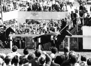 Nijinsky and jockey Lester Piggott wins Derby at Epsom - June 1970 Nijinsky and jockey Lester Piggott wins Derby at Epsom - June 1970
