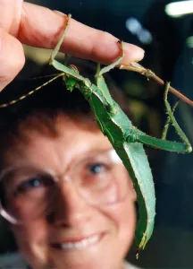 Noreen Wright with a Malaysian Jungle Nymph at a Creepy Crawley Exhibition in August 1995 Noreen Wright with a Malaysian Jungle Nymph at a Creepy Crawley Exhibition in August 1995