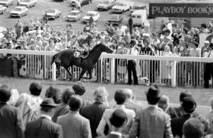 The Oaks at Epsom, won by jockey Willie Carson and trainer Dick Hern The Oaks at Epsom, won by jockey Willie Carson and trainer Dick Hern