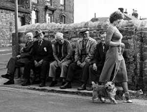 Old People - Old men seated on a bench watch a girl walking her dog go by Old People - Old men seated on a bench watch a girl walking her dog go by