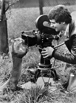 Otter that Turned Rotter: Cosy job, being a photographer Otter that Turned Rotter: Cosy job, being a photographer