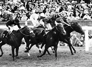 Parsiomony wins from Pearl Star & Princess Bonita who dead heated for 2nd place Parsiomony wins from Pearl Star & Princess Bonita who dead heated for 2nd place