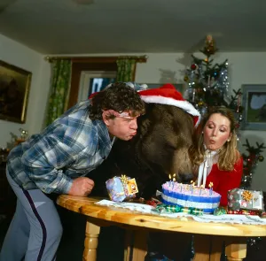 Party Animal! Hercules the bear celebrates his 10th birthday Blowing out Party Animal! Hercules the bear celebrates his 10th birthday Blowing out
