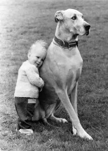 A pet and his pal. Giant dog with little boy leaning on him with affection A pet and his pal. Giant dog with little boy leaning on him with affection