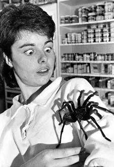 Pet shop assistant Andrea Youll with Harry, believed to be the largest spider in Pet shop assistant Andrea Youll with Harry, believed to be the largest spider in