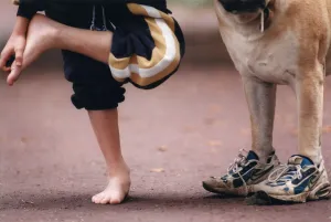 Mirror/1300to1399 01394/picture shows dog wearing trainers presumably Mirror/1300to1399 01394/picture shows dog wearing trainers presumably