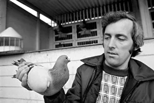 Pigeon fancier Paul Smith of Stotfold, Beds. January 1975. 75-00357-002 Pigeon fancier Paul Smith of Stotfold, Beds. January 1975. 75-00357-002