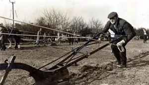 Ploughing - Mr William Davies of Penderyn puts all his concentration into making sure Ploughing - Mr William Davies of Penderyn puts all his concentration into making sure