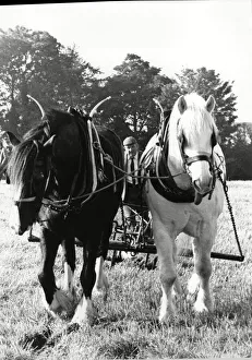 Ploughing a straight furrow at Brailsford 15th October 1988 Ploughing a straight furrow at Brailsford 15th October 1988