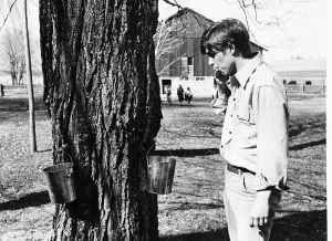 Prince Andrew samples the syrup from a maple Tree March 1977 Prince Andrew samples the syrup from a maple Tree March 1977