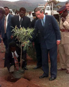 Prince Charles talked to this tree wishing it good luck as he planted it outside Prince Charles talked to this tree wishing it good luck as he planted it outside