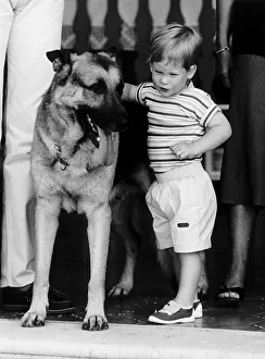 Prince Harry befriends the family dog Arkie. Rest of this picture set Prince Harry befriends the family dog Arkie. Rest of this picture set
