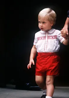 Prince William visiting his mother Princess Diana in hospital after the birth of his Prince William visiting his mother Princess Diana in hospital after the birth of his