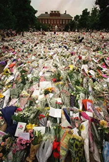 Princess Diana Death 31 August 1997 Floral tributes at Kensington Palace Flowers Princess Diana Death 31 August 1997 Floral tributes at Kensington Palace Flowers