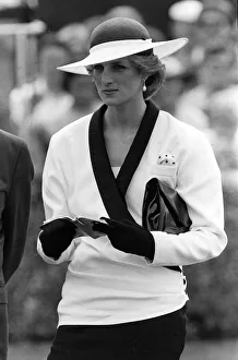PRINCESS DIANA DURING A VISIT TO AMERICA 01/11/1985 CODE PRINCESS DIANA DURING A VISIT TO AMERICA 01/11/1985 CODE