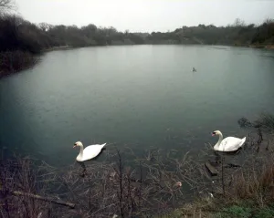 Former quarry at Glebe Estate, Newbold-on-Avon, converted into wildlife pool Former quarry at Glebe Estate, Newbold-on-Avon, converted into wildlife pool