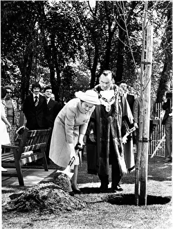 Queen Elizabeth II plants a silver birth tree in the aromatic gardens, St Helens Queen Elizabeth II plants a silver birth tree in the aromatic gardens, St Helens