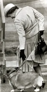 Queen Elizabeth II tries to bring a Corgi to heel at Aberdeen airport September Queen Elizabeth II tries to bring a Corgi to heel at Aberdeen airport September