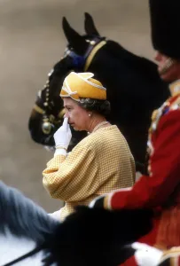Queen Elizabeth at the Trooping of the Colour on Horse Guards Parade picking her nose Queen Elizabeth at the Trooping of the Colour on Horse Guards Parade picking her nose