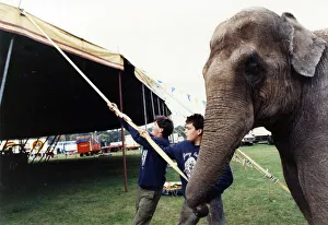 Rani the elephant helping to put up the big top with two boys when the Gerry Cottle Rani the elephant helping to put up the big top with two boys when the Gerry Cottle