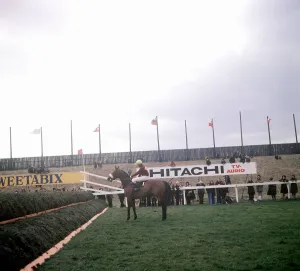 Red Rum and jockey Tommy Stack check the 1st fence before the world-famous chase at Red Rum and jockey Tommy Stack check the 1st fence before the world-famous chase at