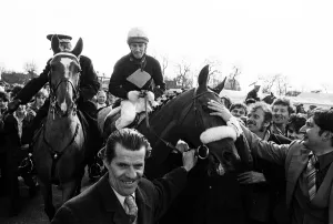 Red Rum after winning the 1977 Grand National with Jockey Tommy Stack. 2nd April 1977 Red Rum after winning the 1977 Grand National with Jockey Tommy Stack. 2nd April 1977