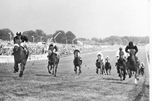 Mill Reef extreme left seen here thundering up the hill to ein the 1971 Derby Mill Reef extreme left seen here thundering up the hill to ein the 1971 Derby