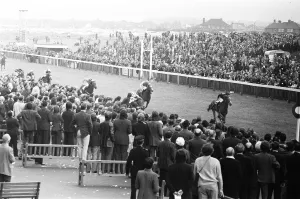 The rest of the field in the Andy Capp Handicap crosses the line after Cliff Parkes The rest of the field in the Andy Capp Handicap crosses the line after Cliff Parkes