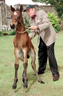 Richard Wilson actor with his baby foal Tam Richard Wilson actor with his baby foal Tam